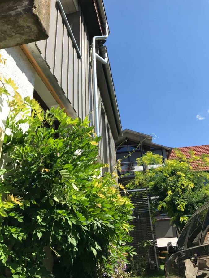 Blackbird'S Nest Wiesenbronn Exterior foto