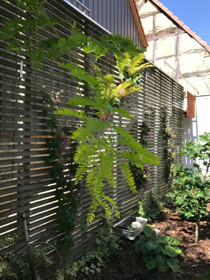 Blackbird'S Nest Wiesenbronn Exterior foto